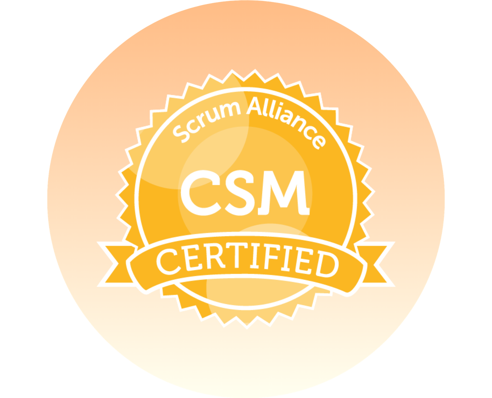 MindsCoach CSM Seal